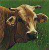 COW by Keith Glasgow at Ross's Online Art Auctions