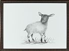 SPRING LAMB by Mary Lou at Ross's Online Art Auctions
