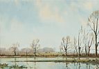 FLOODED FIELDS NEAR DOAGH by Wilfred Haughton RUA at Ross's Online Art Auctions