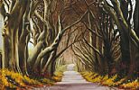 DARK HEDGES by Keith Glasgow at Ross's Online Art Auctions