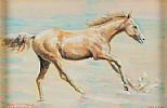 STUDY OF A HORSE by Leo Casement at Ross's Online Art Auctions