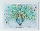 THE FLAMBOYANT PEACOCK by Dawn Crothers at Ross's Online Art Auctions