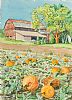 PUMPKIN PATCH by Padi Ainsworth at Ross's Online Art Auctions