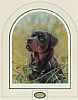 ROTTWEILER by John Silver at Ross's Online Art Auctions