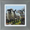 SPRING LAMB by Keith Glasgow at Ross's Online Art Auctions