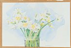 STILL LIFE DAFFODILS by Padi Ainsworth at Ross's Online Art Auctions