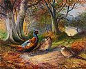 PHEASANTS IN WOODLANDS by William Yeaman at Ross's Online Art Auctions