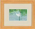 SWAN SWIMMING by Allen M. Foye at Ross's Online Art Auctions