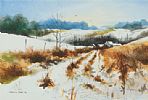 WINTER IN THE DRUMLINS by Martin D. Cooke at Ross's Online Art Auctions