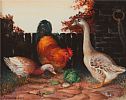 FARMYARD FRIENDS by Phyllis Arnold R.M.S. P.P.U.S.W.A U.W.S. H.S. at Ross's Online Art Auctions